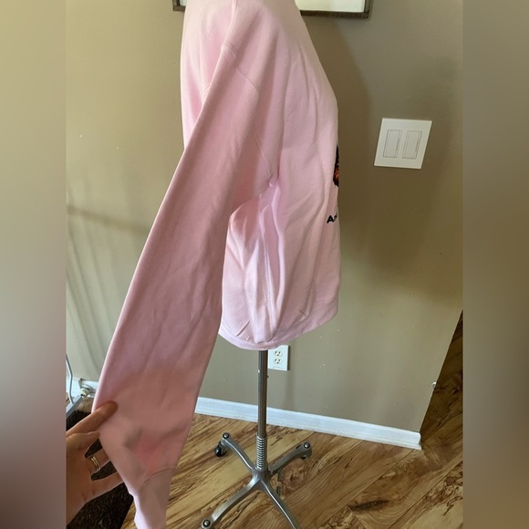 Breast cancer Michigan graphic sweatshirt Soft Pink Heavy Blend women’s size M - Picture 3 of 6